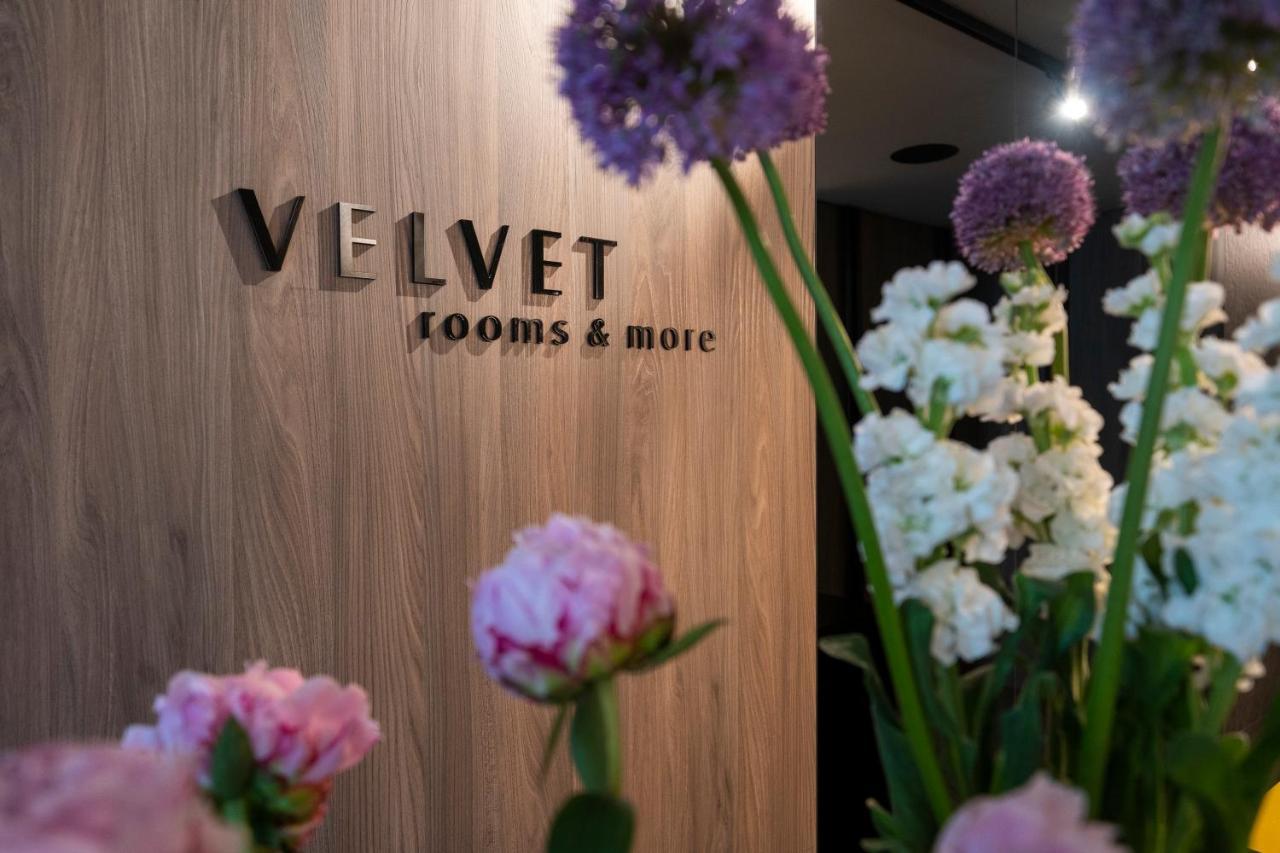 זאדאר Velvet Rooms & More מראה חיצוני תמונה